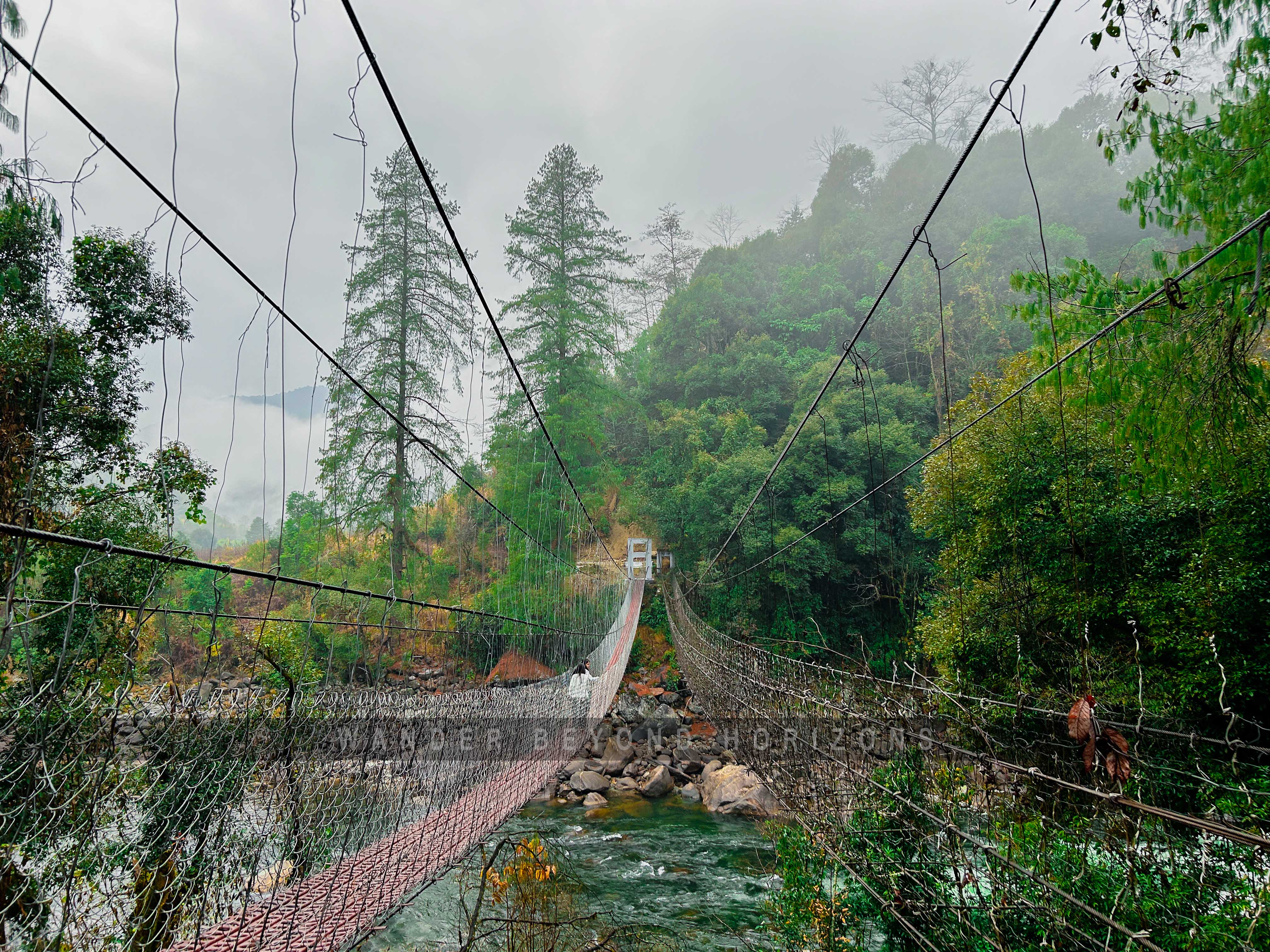 Anini & Pomo Grassland (3).JPG